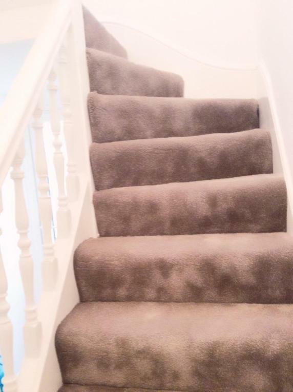96 Rochester Street Chatham  Ngoại thất bức ảnh